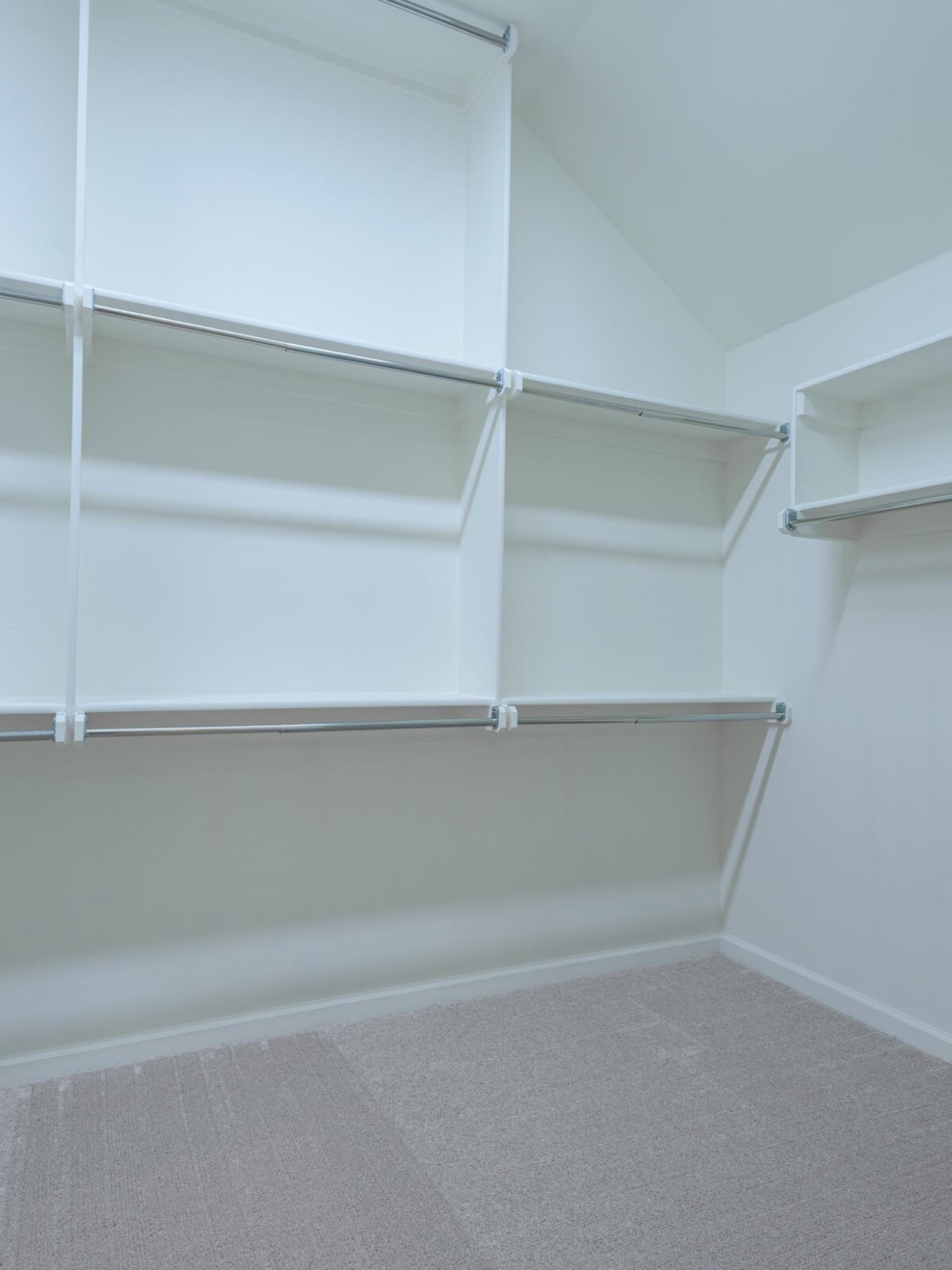 A walk in closet with shelves and a carpet